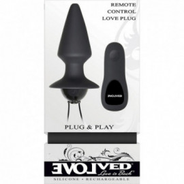 Evolved Plug&Play