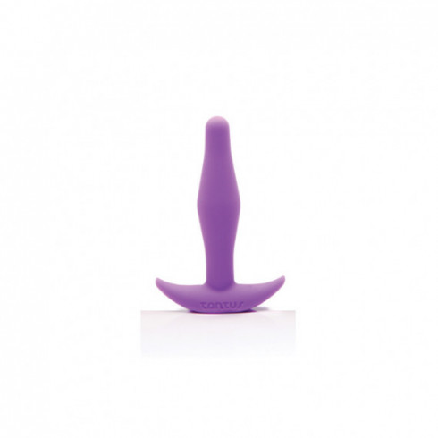 Anal - Plugs and  Probes non vibrating